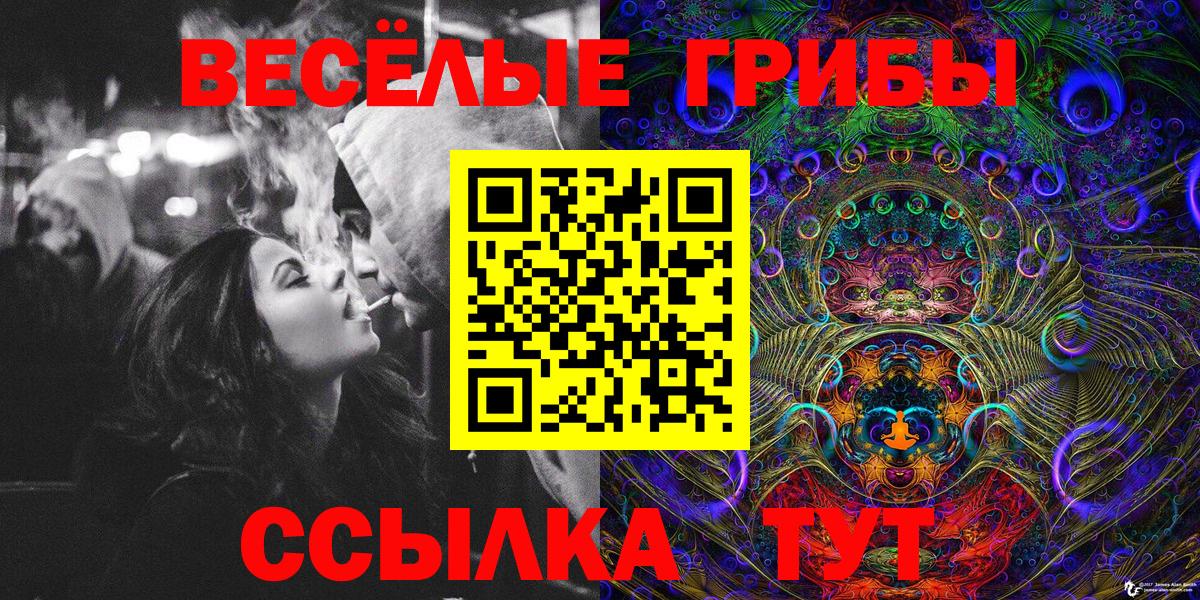 Псилоцибиновые грибы Psilocybine cubensis Волгодонск